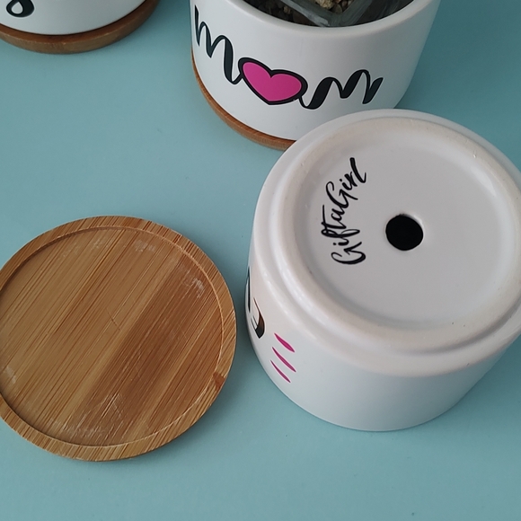 Ceramic Succulent Plant Pots Gift Mom 3.15 Inch Cactus Planter Flower new 3 pz - Picture 4 of 9